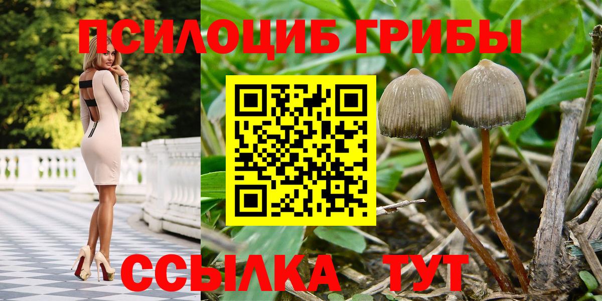 Псилоцибиновые грибы Magic Shrooms  Вход с VPN  Добрянка 
