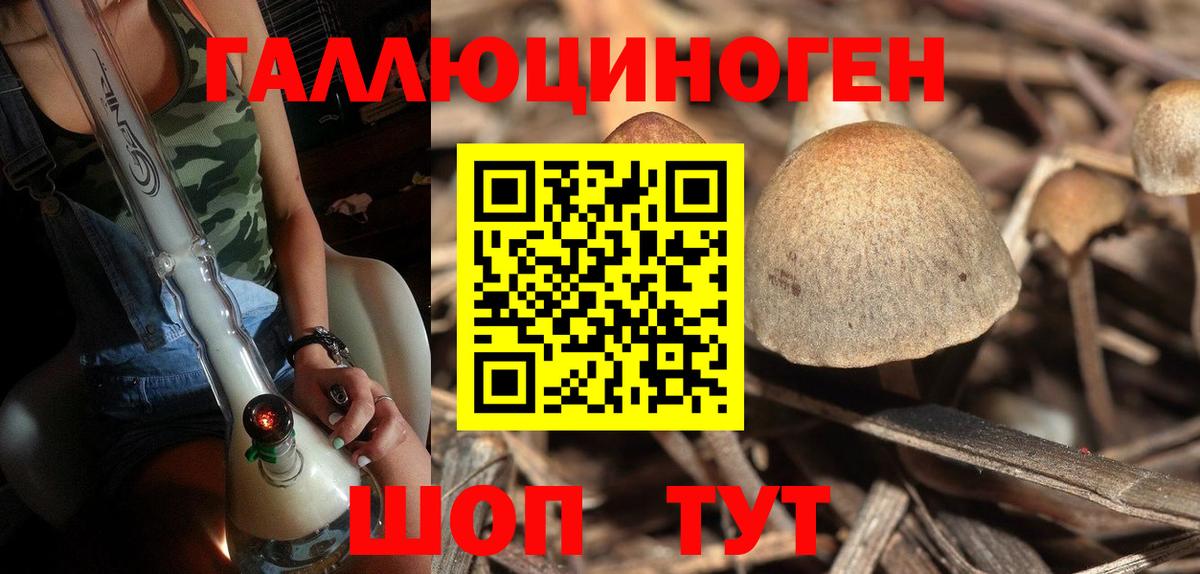 Галлюциногенные грибы GOLDEN TEACHER Добрянка